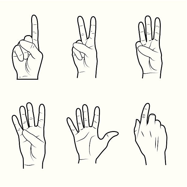 ilustrações, clipart, desenhos animados e ícones de mãos de sinais - hand sign human hand sign language three fingers