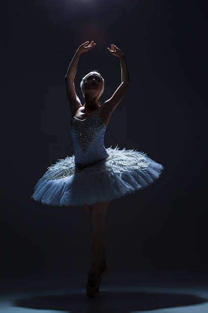 porträt der ballerina in ballett tatu auf dack hintergrund - female silhouette beautiful professional sport stock-fotos und bilder
