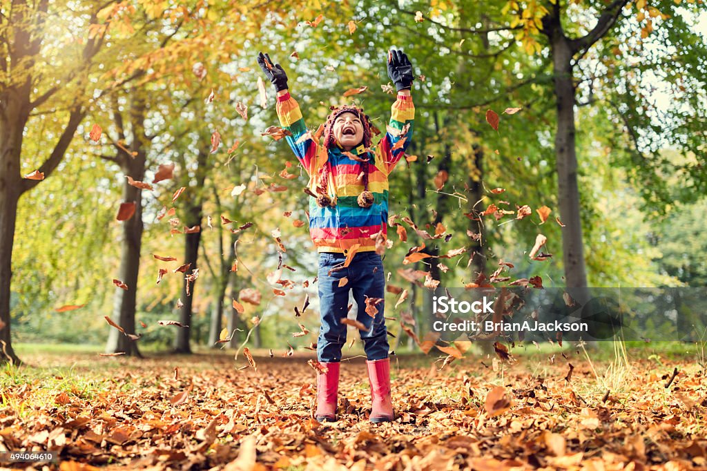 Folhas de outono - Foto de stock de Outono royalty-free