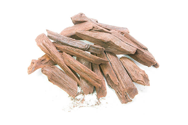 istock Maclura cochinchinensis (Lour.) Corner 494067978