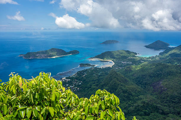 istock Morne Seychellois National Park - Mahe - Seychelles 494079704