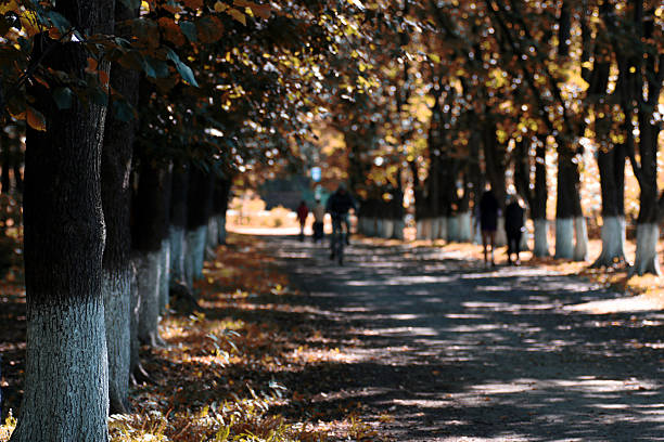 istock Park autumn alley footpath 494080354