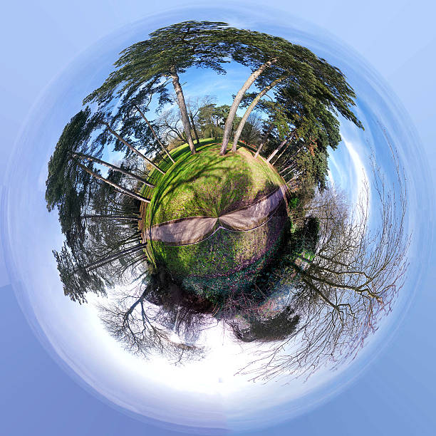 istock Polar Panorama of trees in a park 494080994