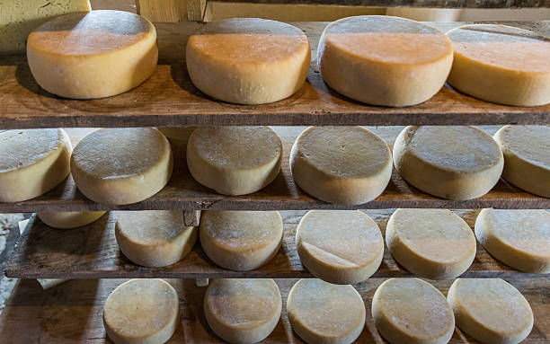 istock Alpine hut that produces  homemade cheeses. 494081510