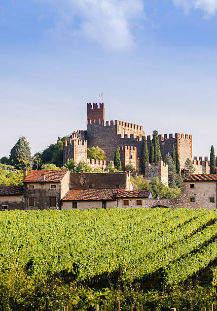 просмотр soave (италия) и его знаменитого, средневековый замок - soave стоковые фото и изображения