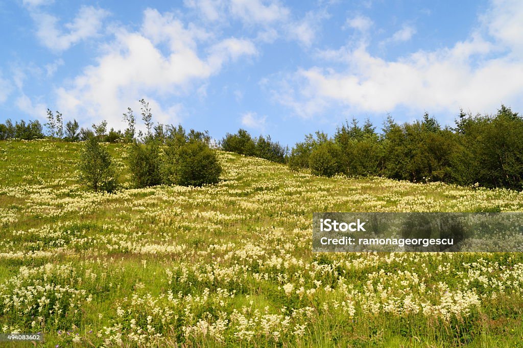 Landscape in Iceland 2015 Stock Photo