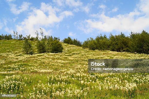 Landscape In Iceland Stock Photo - Download Image Now - 2015, Arctic, Beauty In Nature