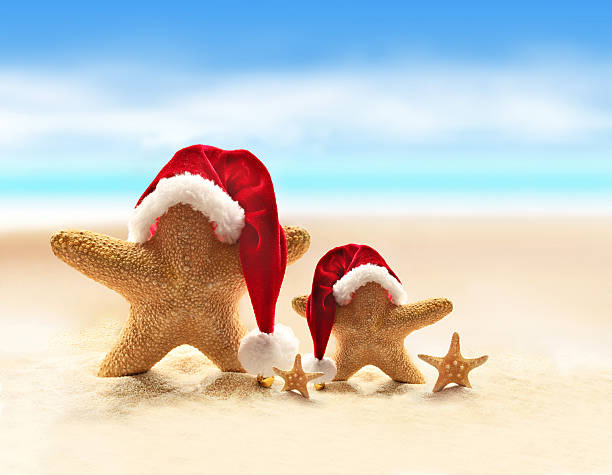 Starfish on summer beach and Santa hat