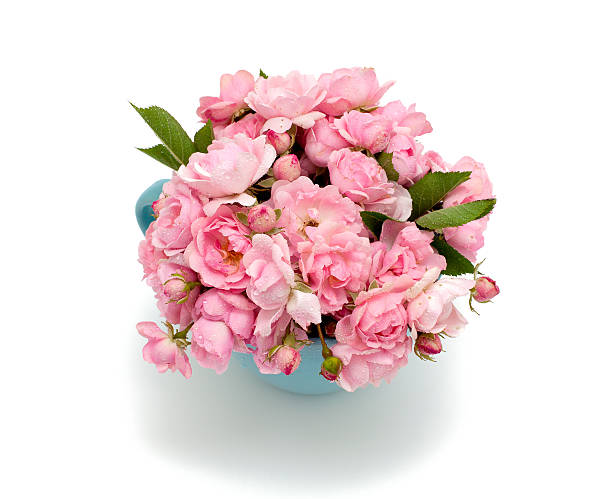 blue cup full of small pink roses over white