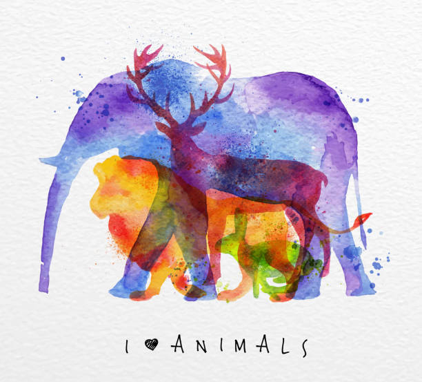 bildbanksillustrationer, clip art samt tecknat material och ikoner med overprint animals elephant - animal double exposure