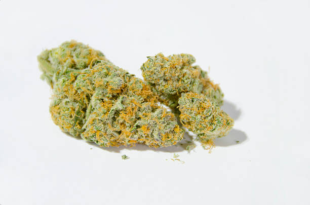 Hybrid Marijuana Buds stock photo
