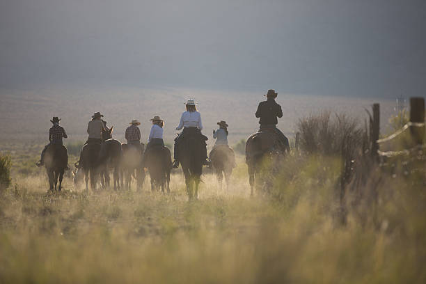 cowboys - trail ride стоковые фото и изображения