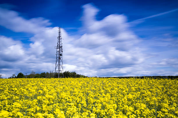 A 4G LTE mast built in a rural location as part of the increasing demand for cellular coverage.