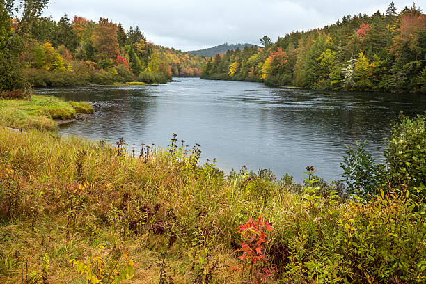 istock Fall foliage on the Androscoggin River near Errol, New Hampshire 494093600