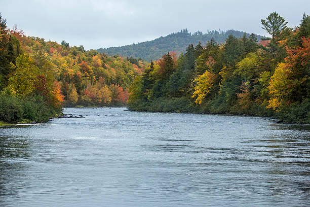istock Fall foliage on the Androscoggin River near Errol, New Hampshire 494093682