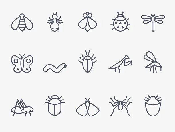 Vector illustration of insect icon set