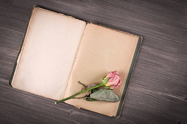istock Dry rose and old book on wooden background 494094971