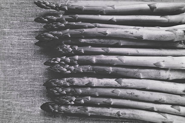 asparagus in black and white