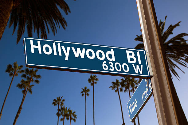 hollywood boulevard mit-illustration auf palmen - the hollywood boulevard stock-fotos und bilder