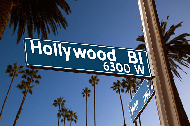 istock Hollywood Boulevard with  sign illustration on palm trees 494096447