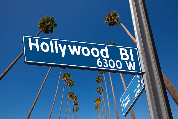 istock Hollywood Boulevard with  sign illustration on palm trees 494096451