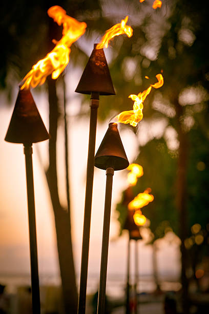 istock Torch Lighting in Waikiki on Sunset 494118497