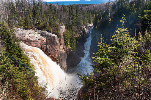 scenic view of waterfalls and boreal forest in Kenora, Ontario