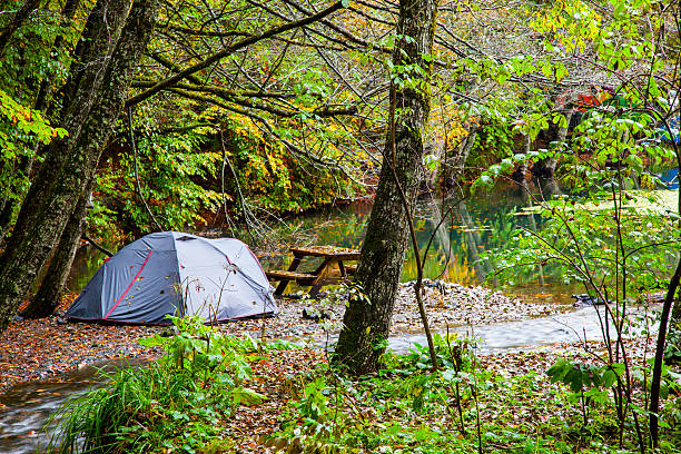 istock Camping near the lake 494119856