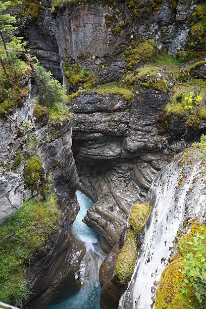 istock Maligne Canyon and Waterfall in Jasper 494119942