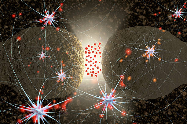 수용체 - 3d 렌더링됨 일러스트 - receptor 뉴스 사진 이미지