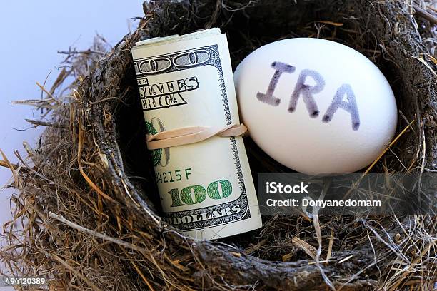 Nest With Money And Egg Stock Photo - Download Image Now - Animal Nest, Backgrounds, Banking