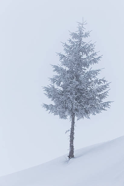 istock Winter scenery in the mountains 494120676