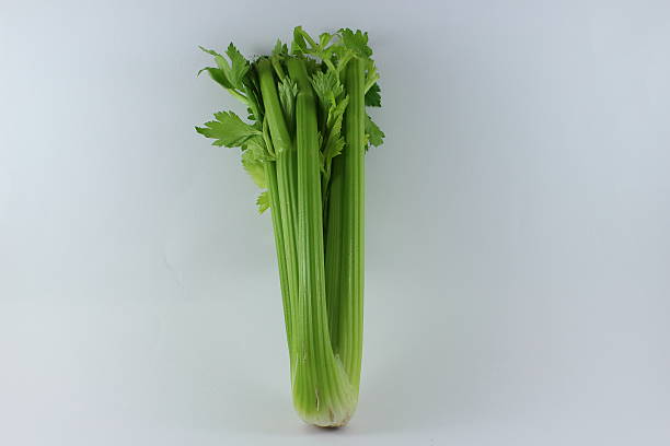 Head Of Celery stock photo