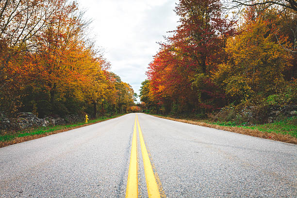 istock Empty country road in Rhode Island 494121800