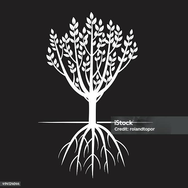 White Tree And Roots Vector Illustration Stock Illustration - Download ...
