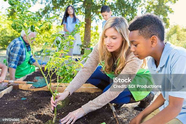 Teacher And Student Working In Garden During Farm Field Trip Stock Photo - Download Image Now