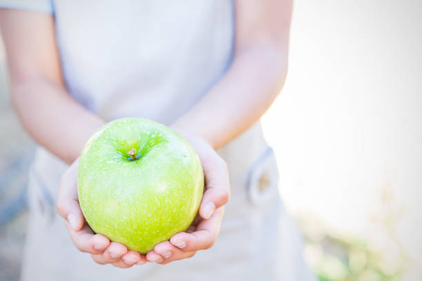 Elementary age Asian little girl holding a large juicy green apple out in front of her. Child's hands are cupping piece of fruit. She is wearing a private school uniform. Child's face is not included in photo.