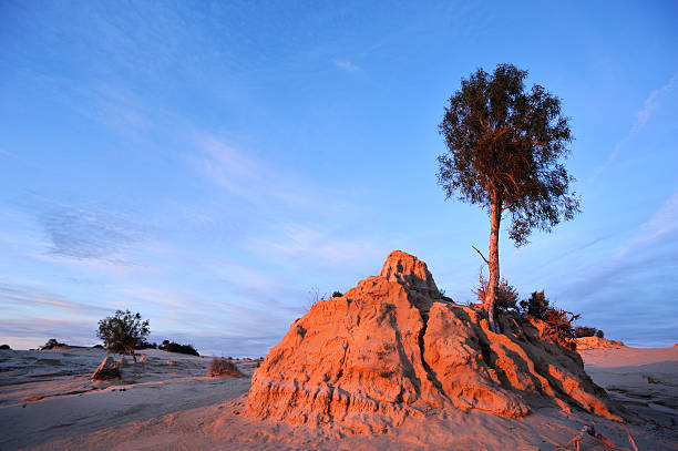 istock Sunset landscape, Outback Australia, 494124298