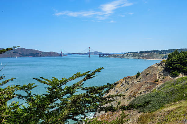 istock Scenic view of Golden Gate Bridge from Lands End Trail 494124514