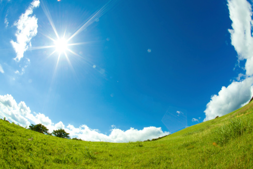 grassy plain and sun and blue sky of fisheye lens
