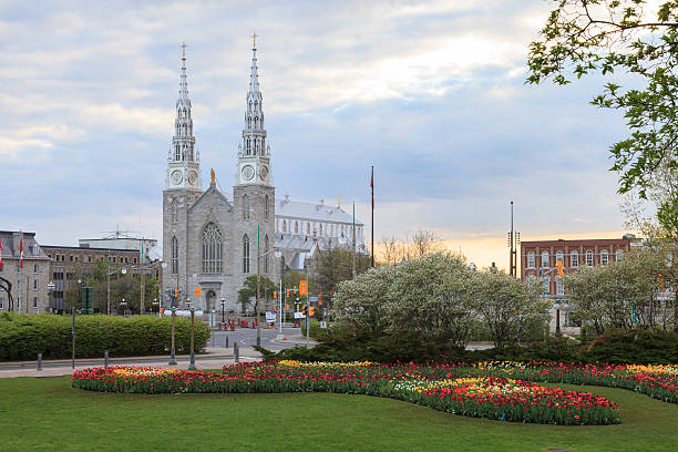 tulipán festival de ottawa - ottawa tulip festival fotografías e imágenes de stock