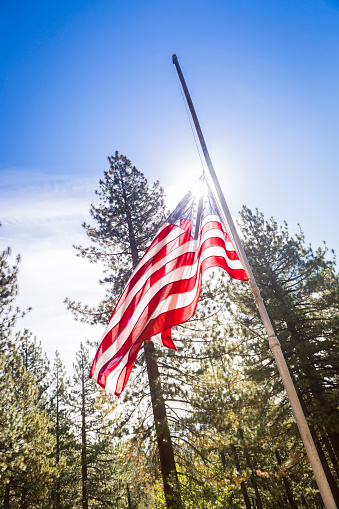 Dramatic Half Mast American Flag Among Trees.