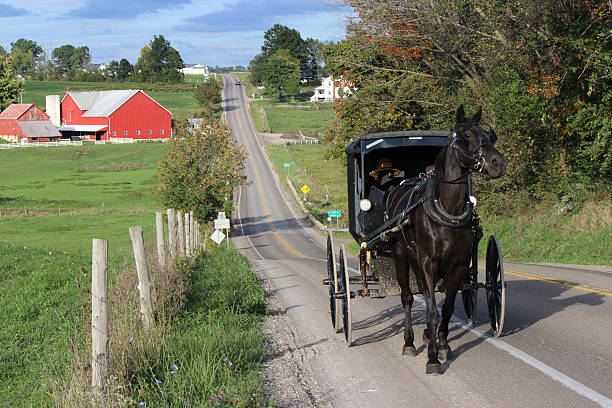 Amish Horse and Buggy Travelling Up a Steep Country Road Gorgeous photo of a beautiful black horse pulling a traditional Amish buggy up a steep hill in Amish country in Ohio, near Berlin and Hope.  The red barns and a silo on a farm can be seen in the background. amish photos stock pictures, royalty-free photos & images