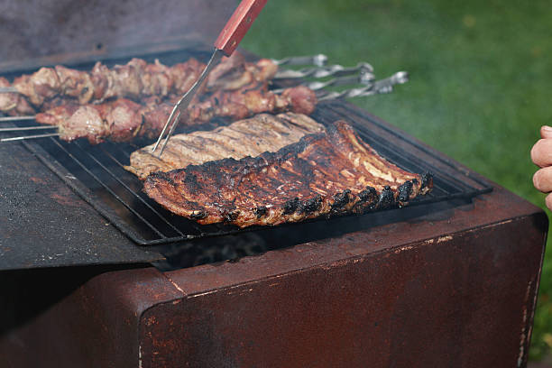 istock meat skewers on the barbecue coals 494131048