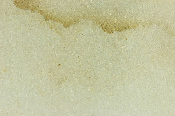 istock Macro stain texture of the old paper 494145275