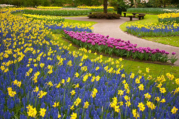 Big planter in Central Park with spring flowers