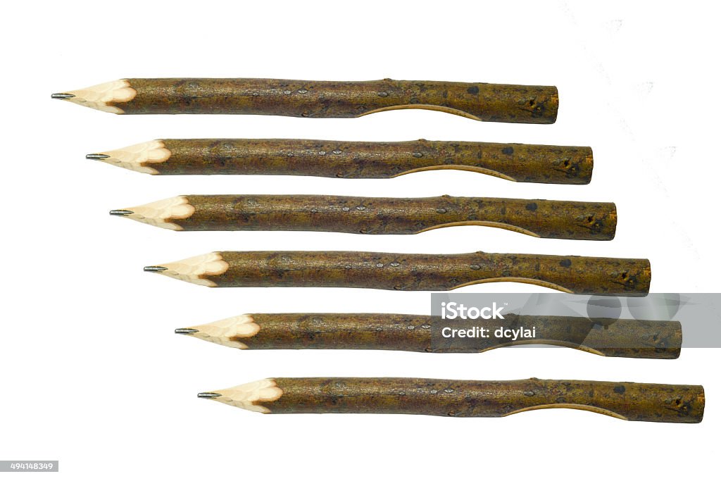 Branch Pencils Branch - Plant Part Stock Photo