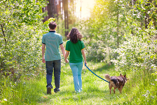 istock Young couple walking with dog in the forest 494149053