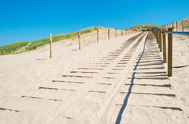 Footpath in the dunes during a summer day, Egmond (The Netherlands).