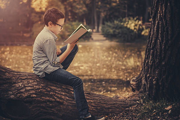 istock Cute boy reading a book in the park at sunset 494152500